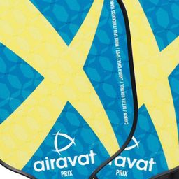 AIRAVAT 4-Pcs Printed Prix Pickleball Paddle Set image 2