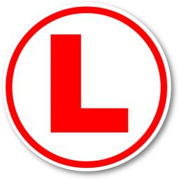 Sticker & Decal for Car-image-17