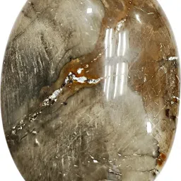 Petrified Wood Oval Palm Stone Crystal Petrified Wood Large Crystal Palm Stone Polished Oval Crystal Pebbles-image-77