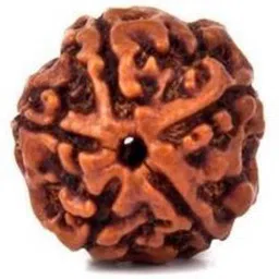HARI ALANKAR 5 MUKHI RUDRAKSHA five face 100% original Raviour Lifestyle Wood Pendant-image-49