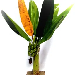 simon879000 Bonsai Artificial Plant-image-48