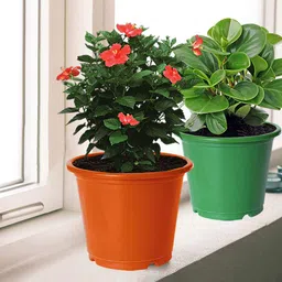 Kuber Industries 3-Pcs Orange & Green DurablePlanters-48