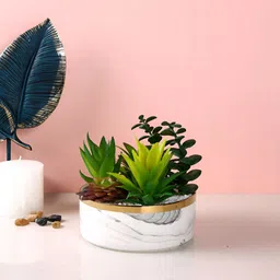 Myntra Elegant Homes White 1 Pieces Artificial Plant With Pot-20
