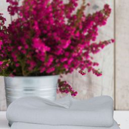HOME COLORS.IN Pack Of 2 White Pure Cotton 350 GSM Hand Towels-19
