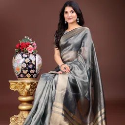 ALAGINI Woven Design Border Organza Saree-27