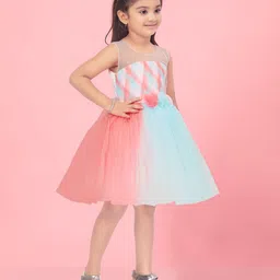 BAESD Print Net Fit & Flare Dress image 3