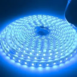 Peafowl Wholesale Blue Steady Rice String Lights-24