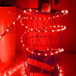 KAVYARA Red Rice Shape String Lights-9