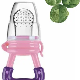 SST Sales Baby Food And Fruit Nibbler & Pacifier Teether BPA Free Nibbler NH314 Feeder-image-7