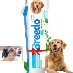 Cool Mint Toothpaste and 1Pcs Pet Toothbrush Combo for Dogs - 100g | Pet Toothbrush-image-47