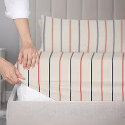 SleepyCat Taupe & Blue Striped 200 TC Cotton Queen Fitted Bedsheet Set 1.98 m x 1.52 m-image-99