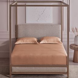 DDecor Jacquard Beige Printed Pure Cotton 300 TC Super King Bedsheet Set - 2.74 m x 2.74 m-picture-45