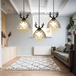 GAUVIK Transparent Ceiling Lamp-0