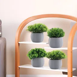 Myntra Elegant Homes Grey 4 Pieces Artificial Plant With Pot-39