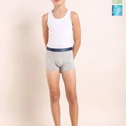U.S. Polo Assn. Kids Boys Pack Of 3 Underwear Trunks - EKT04-GBD-P3-image-88