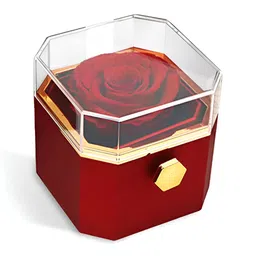 Peora Red Set of 1 Regular Jewellery Organiser Organisers-8