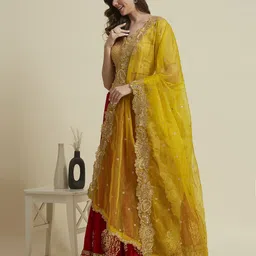Dupatta Bazaar Embroidered Organza Dupatta with Sequinned image 1