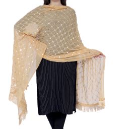Chiffon Embroidered Beige Women Dupatta-image-47