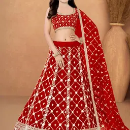 F Plus Fashion Multi Net Lehenga Choli-picture-39