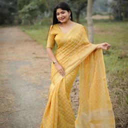 DIVASTRI Checked Zari Silk Blend Designer Saree-picture-10
