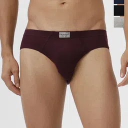 Ramraj Pack Of 4 Mid Rise Basic Briefs SURYIE_BKBLGMGW-4P-51
