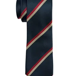 The Tie Hub Men Striped Skinny Tie-image-79