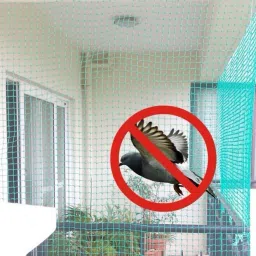 dja UV Stabilized Nylon Pigeon Net_Bird Net_Monkey Net_6 X 10 Feet_Green Color Camping Net image 3