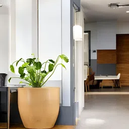 Go Hooked Beige & Green Pluto-Shaped Planter image 3