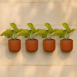 The handicraftian Autumn Red 4 Pieces Small Wall Hanging Planters-picture-19