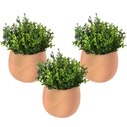 Kuber Industries 3-Pcs Beige & Green Artificial Plants With Pot-15