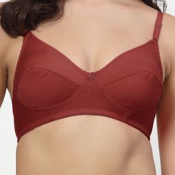LILY Pack Of 2 Full Coverage Cut and Sew Bra image 4