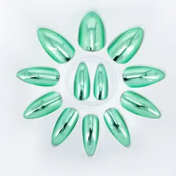 PRIVIU Set Of 12 Reusable Chromatic Nail With Application Kit Mint Green image 4