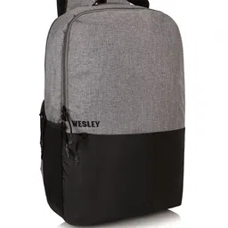 Wesley Unisex Colourblocked Backpack-45