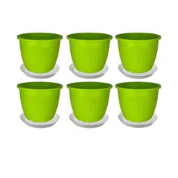 8 Inch Duro Pot for Plants with Saucer Tray-image-80