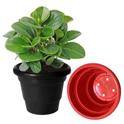 Kuber Industries 3-Pcs Green & Red 2 LayeredPlanters image 4