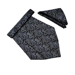 Paisley Design Cravats & Pocket Square Combo-image-95