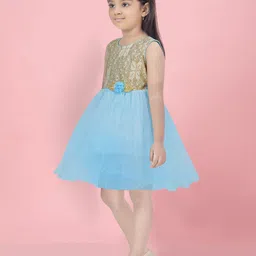BAESD Net Fit & Flare Dress image 4