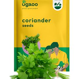 UGAOO Coriander Seeds-image-84