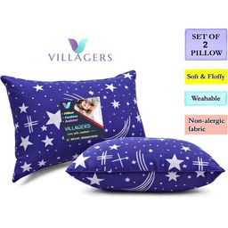 VILLAGERS Set of 2 Blue Polyester Pillows-image-44