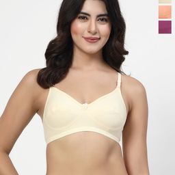 LILY Enimsaj Pack Of 3 Full Coverage Seamed Non Padded Everyday Bra-picture-48
