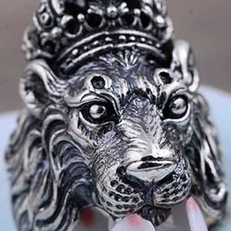 Lovemi Movements Silver-Plated Stainless Steel Finger Ring-image-88