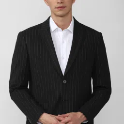 Men Striped Single Breasted Formal Blazer-image-80