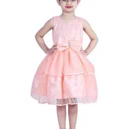 Shahina Fashion Girls Self Design Bow Detail Lace Fit & Flare Dress-picture-15