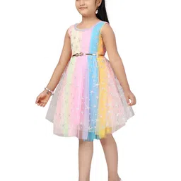 BAESD Print Net Fit & Flare Dress image 4