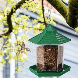 Kuber Industries Green & Transparent Textured 360 Perch Hanging Bird Feeder-picture-13