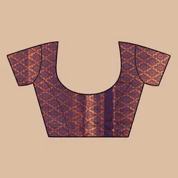 INDIOTSAV Woven Design Banarasi Saree image 5