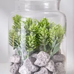 Home Centre Corsica Transparent Succulent Artificial Plant With Glass Pot-42