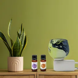 PEEPALCOMM 3Pc Green Electric Aroma Oil Diffuser With Scented Oils 15 ml Each image 4