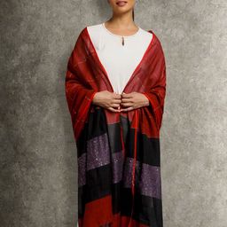 ArtEastri Colourblocked Dupatta-image-28