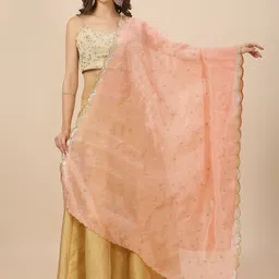 Dupatta Bazaar Embroidered Dupatta with Sequinned-35